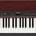 Yamaha P155 Review
