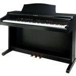 Kawai CE220