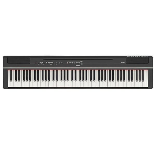 Yamaha P225 vs Yamaha P125 [After Close Inspection]